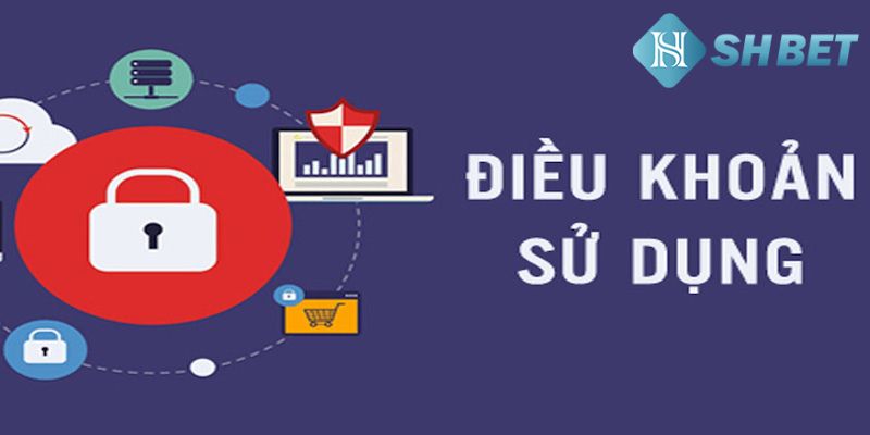 Điều kiện điều khoản của nhà cái là gì?