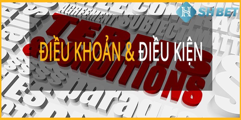 Quy định về việc dùng website và những dịch vụ