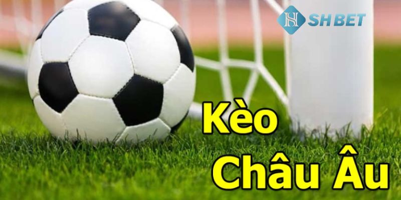 Kèo châu Âu Bí quyết chơi kèo cược 1×2 hiệu quả nhất
