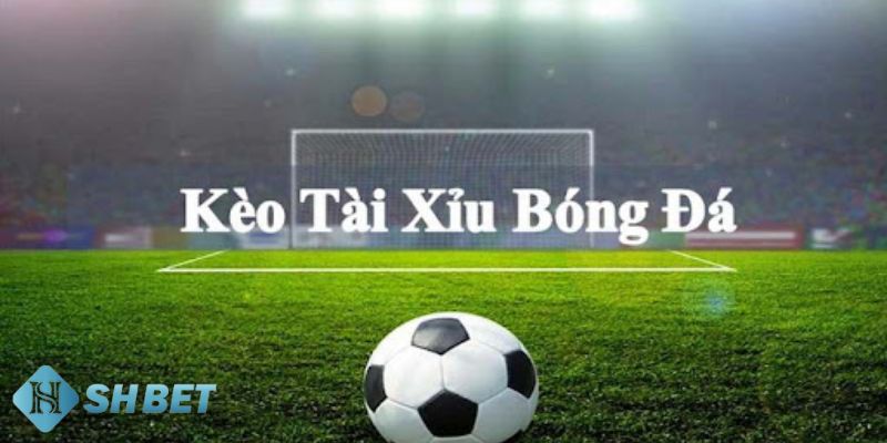 Kèo nhà cái bóng đá Kèo tài xỉu bóng đá