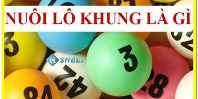 lô khung là gì Lô khung là gì?