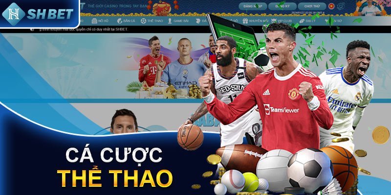 Giới thiệu thể thao tại nhà cái SHBet
