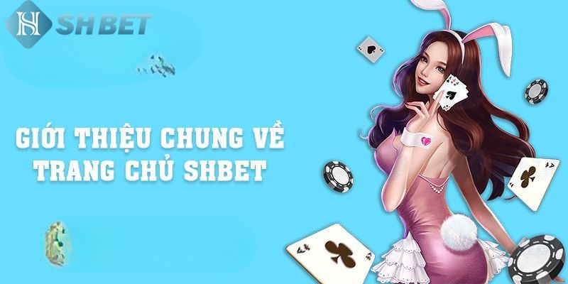 Tổng quan về chúng tôi