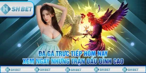 Đá Gà Trực Tiếp Hôm Nay – Xem Ngay Những Trận Đấu Đỉnh Cao