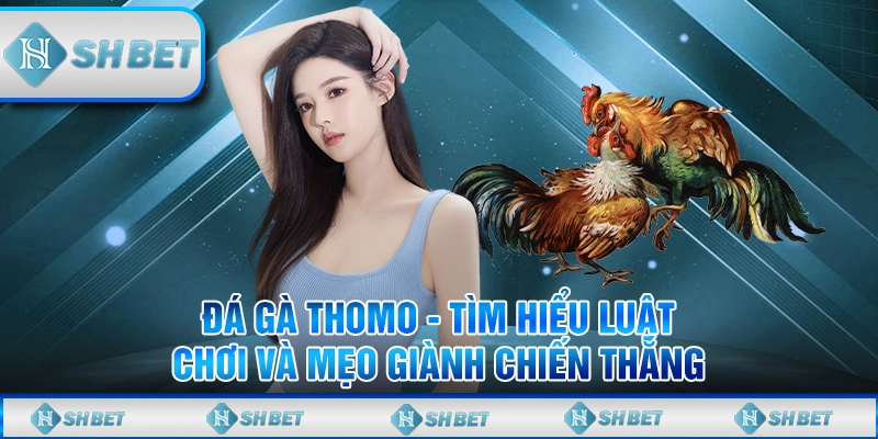 Đá Gà Thomo - Tìm Hiểu Luật Chơi Và Mẹo Giành Chiến Thắng