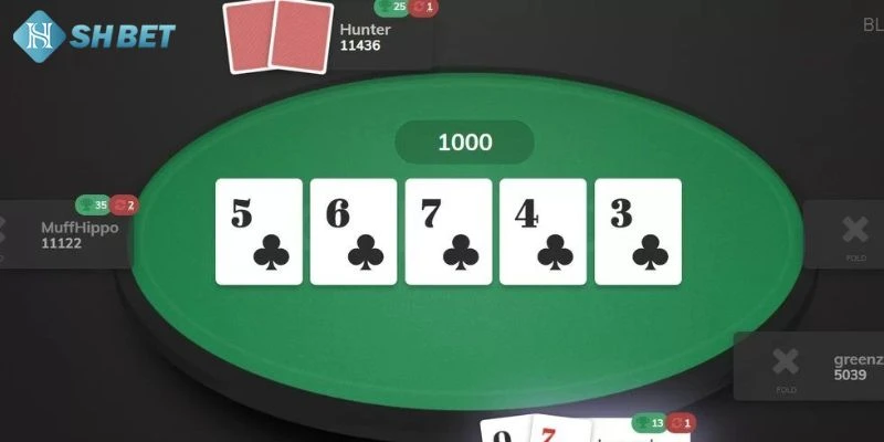 Tổng quan về trò chơi Poker SHBET