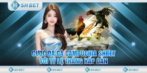 đá gà Campuchia
