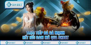 Trực Tiếp Đá Gà Mạnh - Kết Nối Đam Mê Qua SHBET