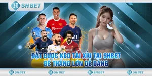 Đặt Cược Kèo Tài Xỉu Tại SHBET Để Thắng Lớn Dễ Dàng