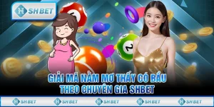 Giải Mã Nằm Mơ Thấy Có Bầu Theo Chuyên Gia SHBET