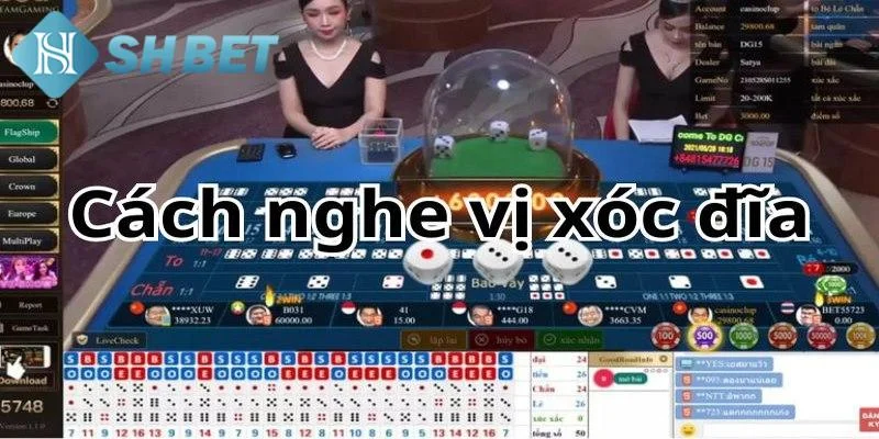 Các kiểu cược thường gặp trong xóc đĩa