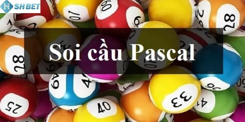 Tìm hiểu về soi cầu Pascal